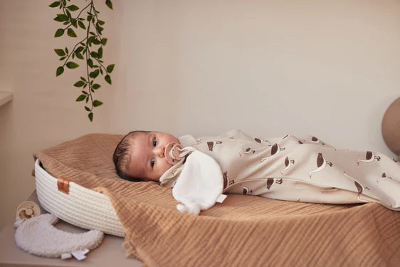 Baby Sleeping Bag Newborn Cocoon 0-3 months - Goose - Nougat - Petitpyla