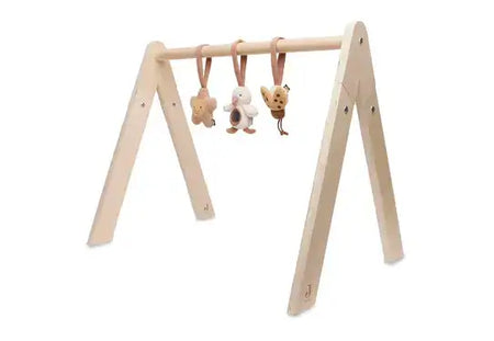 Babygym Toys - Spring Garden - Petitpyla