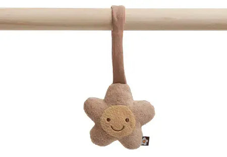 Babygym Toys - Spring Garden - Petitpyla